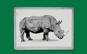 Download Rhinoceros 2026 for macOS Full Version