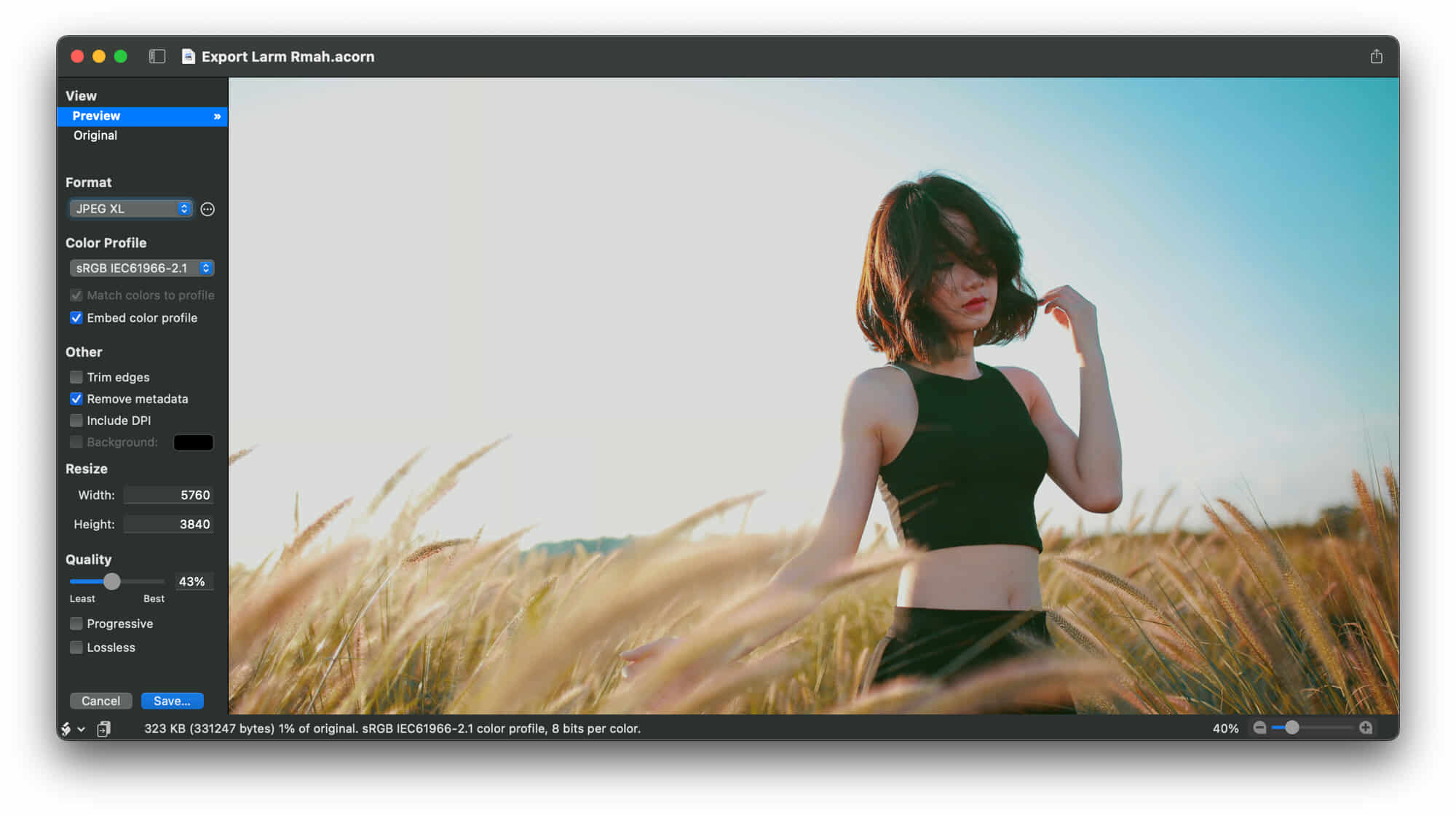 Download Acorn for MacOS Latest