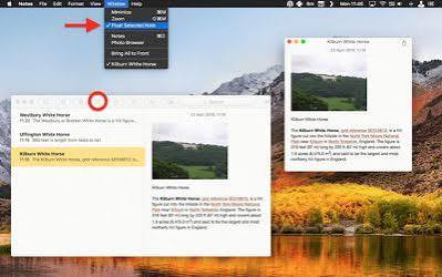 FSNotes 7.3.1 for MacOS Full Version Free Download