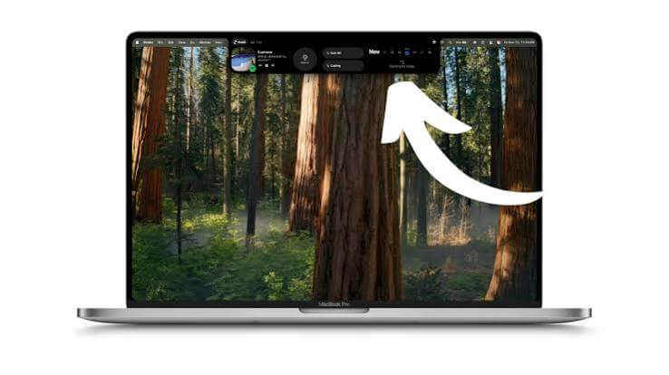 Numi 3.34 for MacOS Full Version Free Download