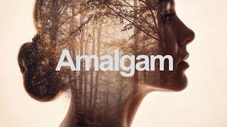 Aescripts Amalgam for MacOS Download (Latest 2026) 