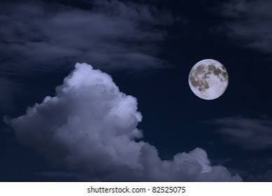 Pale Moon for MacOS Free Download (Latest 2026)