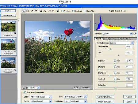 Adobe DNG Converter for MacOS Free Download