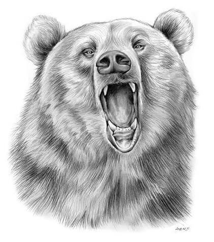 Growly Draw for MacOS Free Download (Latest 2026)