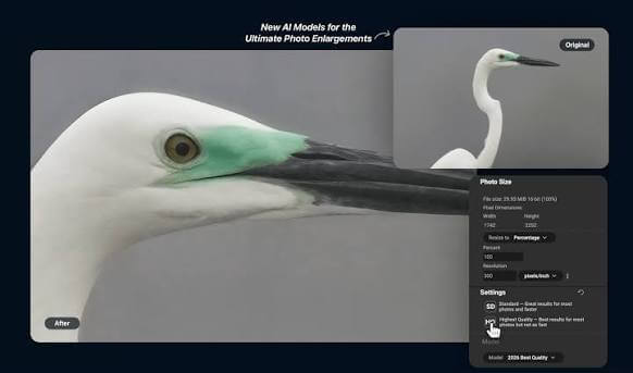 ON1 Resize AI for MacOS Free Download 