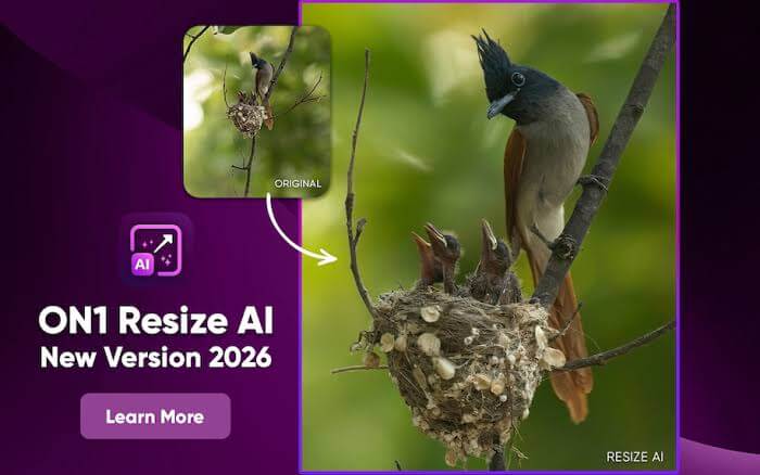 ON1 Resize AI for MacOS Free Download 