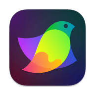 Amadine for MacOS Free Download