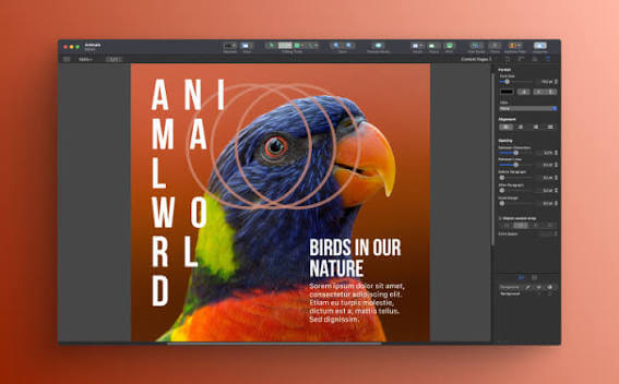 Swift Publisher 5.7.8 for MacOS Free Download